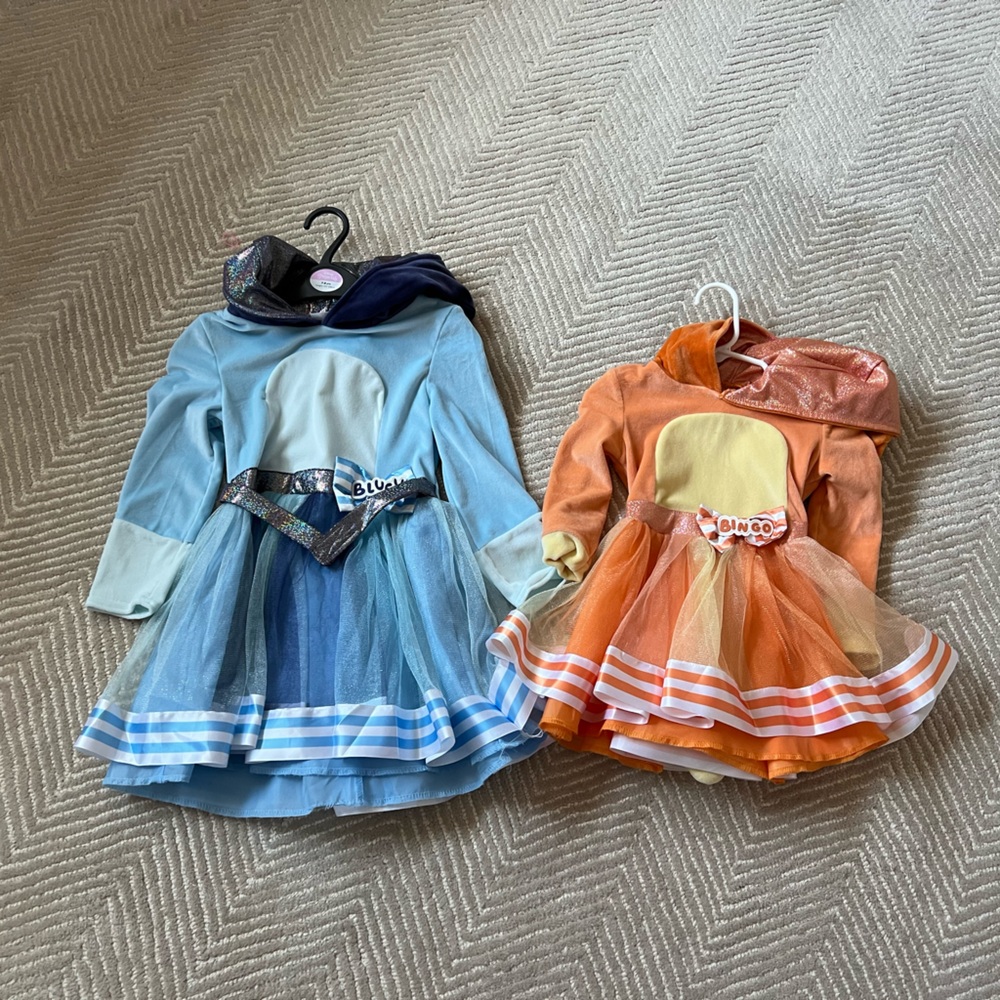 Bluey and Bingo Costumes